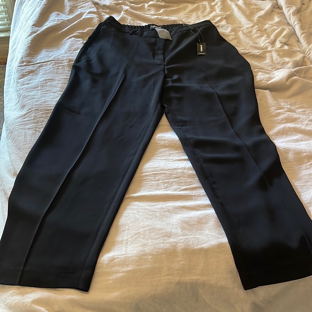 NWT high rise trouser pants from express Sz L